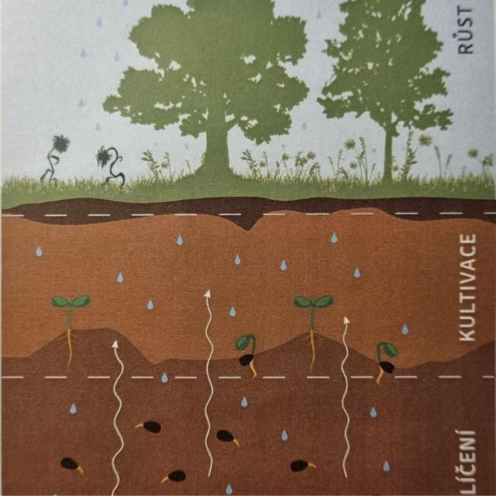 Moje první podnikání